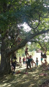 Animation Grand Murcin 2016